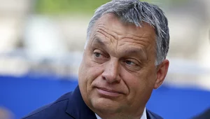 Miniatura: Chcesz być modny? Wal w Orbána!