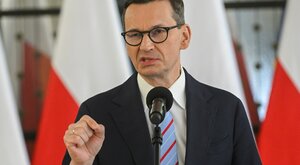 Miniatura: Linoskoczek Morawiecki