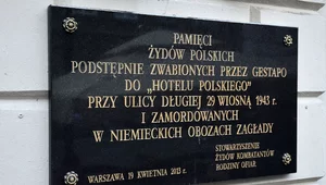 Miniatura: Hotel Polski