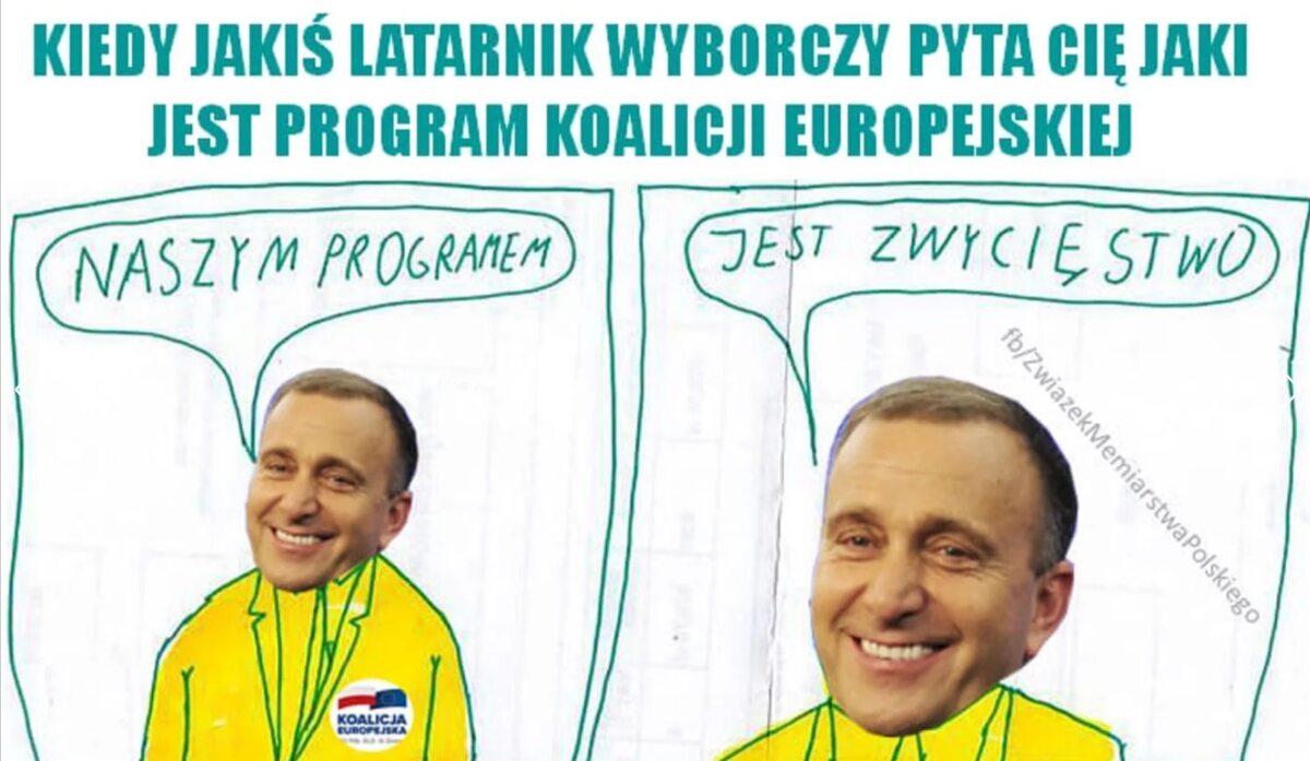 Memy po wyborach do Parlamentu Europejskiego 