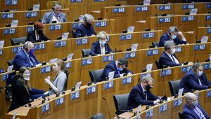 Miniatura: Nowa siła w Parlamencie Europejskim na...