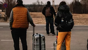 Miniatura: Choroba zakaźna w ośrodku dla...