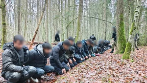 Miniatura: Przerzucała migrantów do Niemiec....