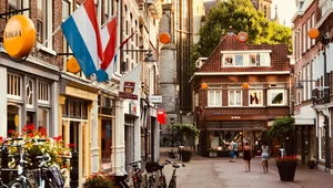 Miniatura: Cudzoziemcy, którzy przybyli z Ukrainy,...