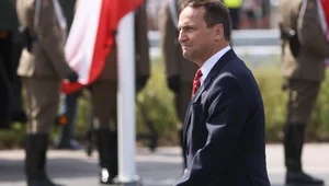 Miniatura: Prawybory w KO. Sikorski wskazał, gdzie...