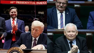 Miniatura: "Trump jest w kontrze do myślenia PiS"....