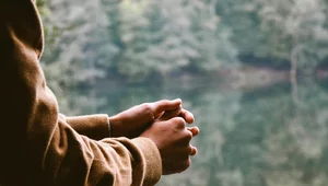 Miniatura: Świat porąbany