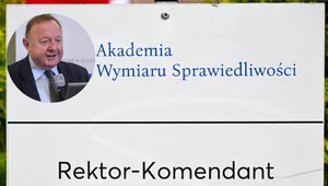 Miniatura: Michalkiewicz: Elementy dramatyczne...