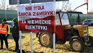 Miniatura: UE-Mercosur. "Mniejszości blokującej nie...