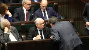 Miniatura: Cztery partie w Sejmie, Nowoczesna i PSL...