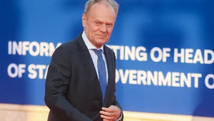 Miniatura: Wilk porażony "paplaniną" Tuska:...