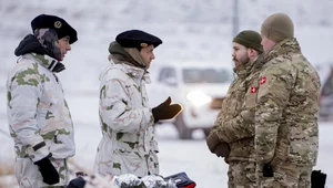 Miniatura: Przejęcie Grenlandii. Dania naprawdę...