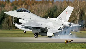 Miniatura: Alarm RCB w Lubelskiem, w miastach zawyły...