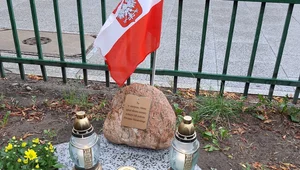 Miniatura: Żołnierz nieznany