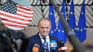 Miniatura: Komentarze po wywiadzie Tuska. "Podsycanie...