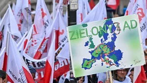 Miniatura: Zielony Ład pod referendum! Każdy może...