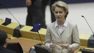 Miniatura: Europlan Marshalla