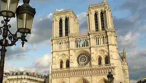 Miniatura: Wzrost o 30 procent. Rekordowa liczba...