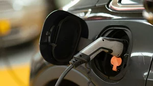 Miniatura: Rządowy program zagrożony. W styczniu może...