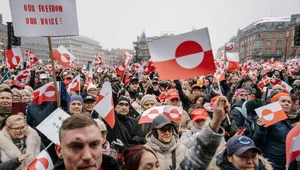 Miniatura: W Danii i na Grenlandii protesty przeciwko...