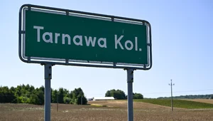 Miniatura: Ekspert punktuje działania rządu: Mam...