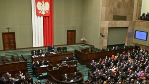 Miniatura: Poseł Konfederacji: Polski wójt jest...