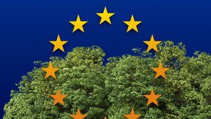 Miniatura: "Czy UE przejmie polskie lasy?". Debata...