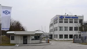 Miniatura: Kolejna firma przenosi się z Niemiec do...