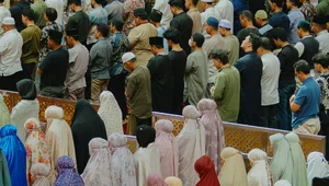 Miniatura: Zatrważające dane z Belgii. "Wymiana...