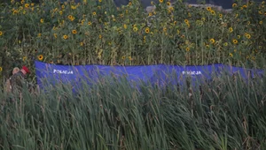 Miniatura: Nowe informacje ws. dronów. "Ujawnili je...