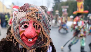 Miniatura: Polski kraj, polskie obyczaje