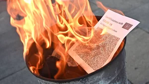 Miniatura: Awantura o paszporty sanitarne. Policja...