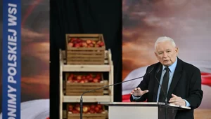 Miniatura: Prezes PiS: Zrobiliśmy to wbrew przepisom...