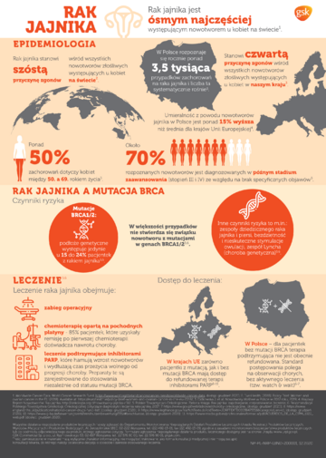 Infografika