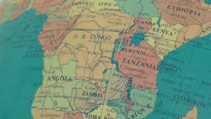 Miniatura: Polskie firmy w Afryce. Popłyną miliardy...