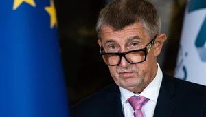 Miniatura: Większość Czechów popiera koalicję Babisza...