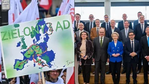 Miniatura: Ani kroku wstecz!