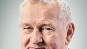 Miniatura: Lasy Państwowe na rzecz ochrony rynku...