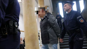 Miniatura: Posiedzenie ws. ekstradycji Wołodymyra Ż....