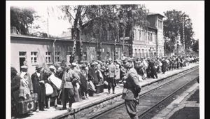 Miniatura: Muzeum Auschwitz-Birkenau: uczczą pamięć...