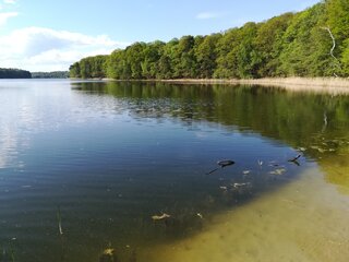 Wielkopolski Park Narodowy, jezioro G&oacute;reckie