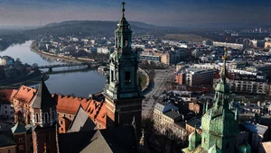 Miniatura: Wyjście z cienia