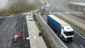 Miniatura: Pryszczyca w Niemczech zagrozi polskim...