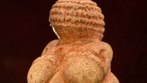 Miniatura: Przedmiot kultu, a może pożądania? Po co...