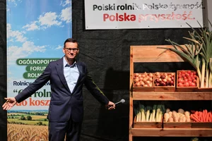 Miniatura: Rozwój Plus przedstawił osiem postulatów...