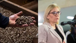 Miniatura: PiS: Radykalne decyzje rządu spowodowały...