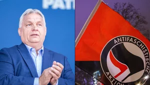 Miniatura: Orban: Czas by Węgry poszły za przykładem...