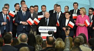 Miniatura: Gociek, Gmyz: Układanie list nie...