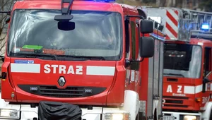 Miniatura: Alarm dla policjantów w czterech...