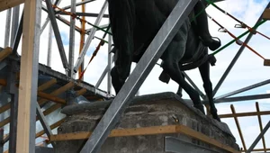 Miniatura: Wawel znów zaskakuje. Przypadkiem...